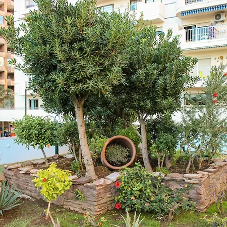 Amazing In * Fuengirola